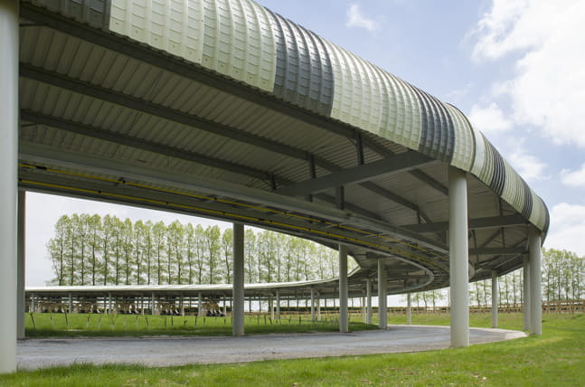 Horse Training Facility - View of the covered track