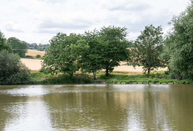 Lake at shooting estate in the Cotswolds