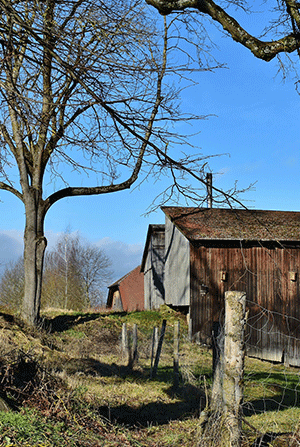 /-/media/images/did-you-know-images/300x447-auction-caution.ashx