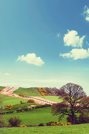 /-/media/images/did-you-know-images/300x447-compulsory-purchase-deals-expertise.ashx