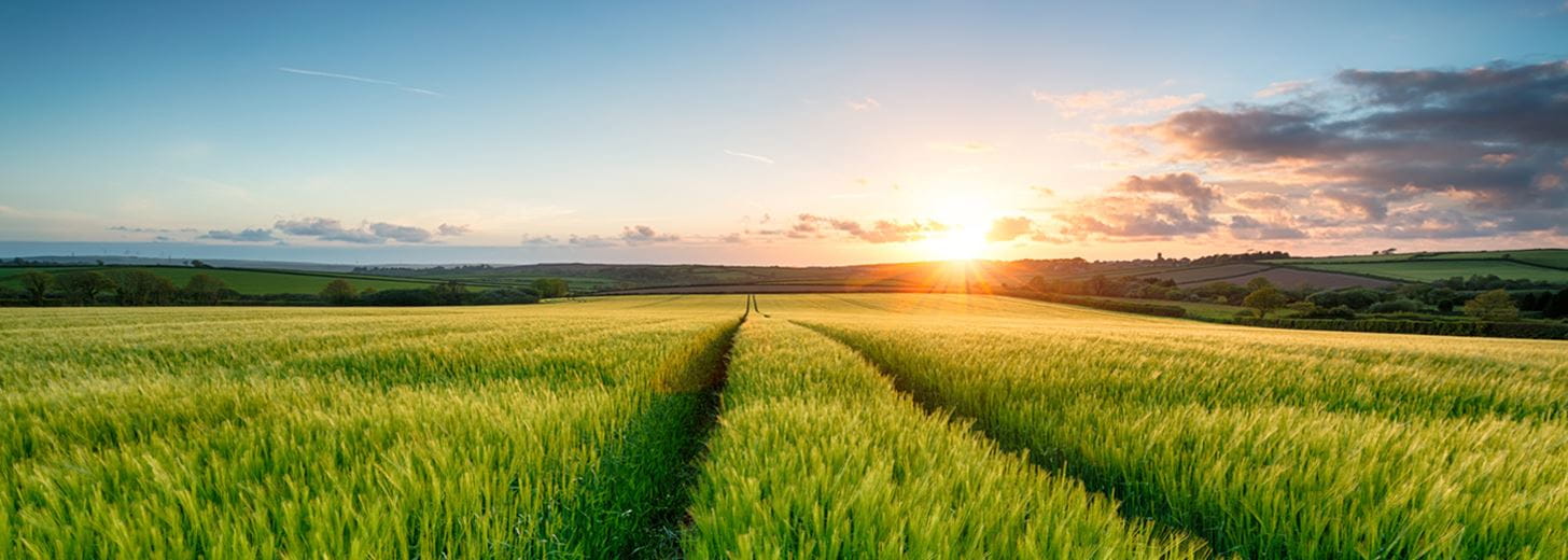 Land Farms and Estates