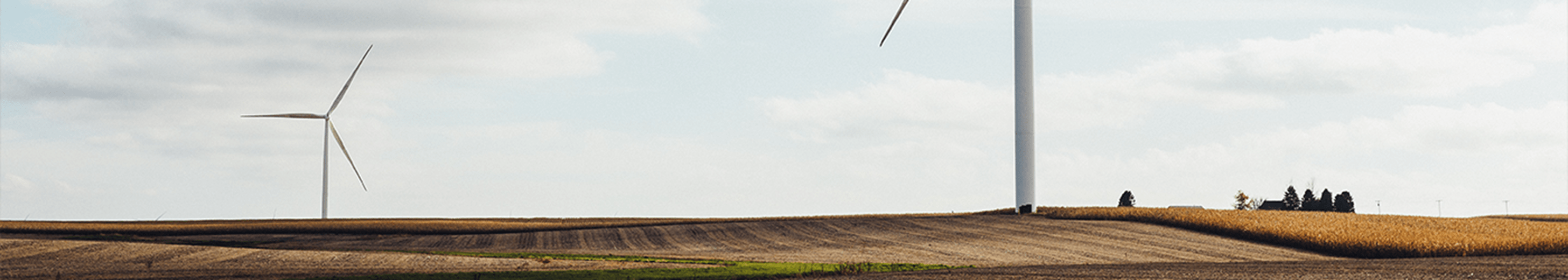 Windmills on a field