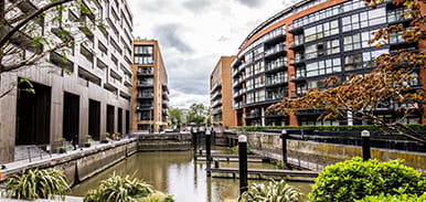 Development monitoring