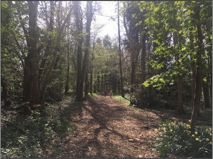 189 to 437 Sq Ft , Units At Southernwood Castle, The Rocks SN14 - Available