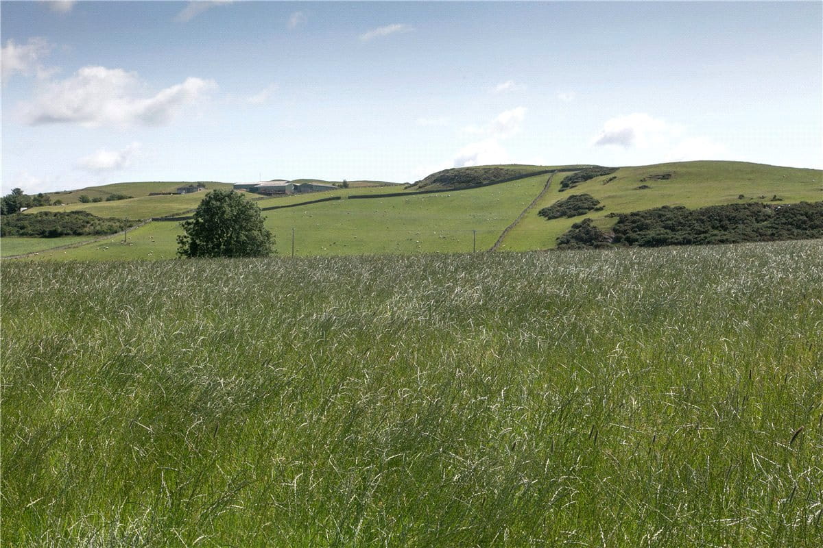 73 acres House, Llanfairtalhaiarn, Abergele LL22 - Available