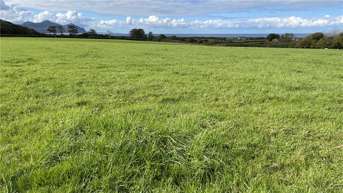 180 acres Land, Llandwrog, Caernarfon LL54 - Available