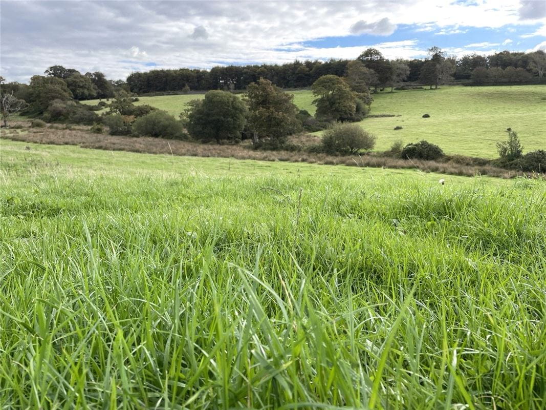 180 acres Land, Llandwrog, Caernarfon LL54 - Available