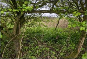 0.07 acres Land, Chorley Road, Westhoughton BL5 - Available