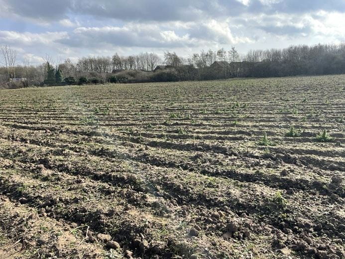 24.6 acres Land, Land At A46, Newark NG24 - Available