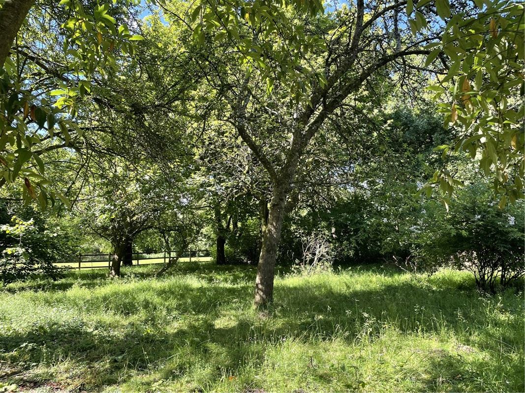 3 bedroom cottage, Box, Corsham SN13 - Sold