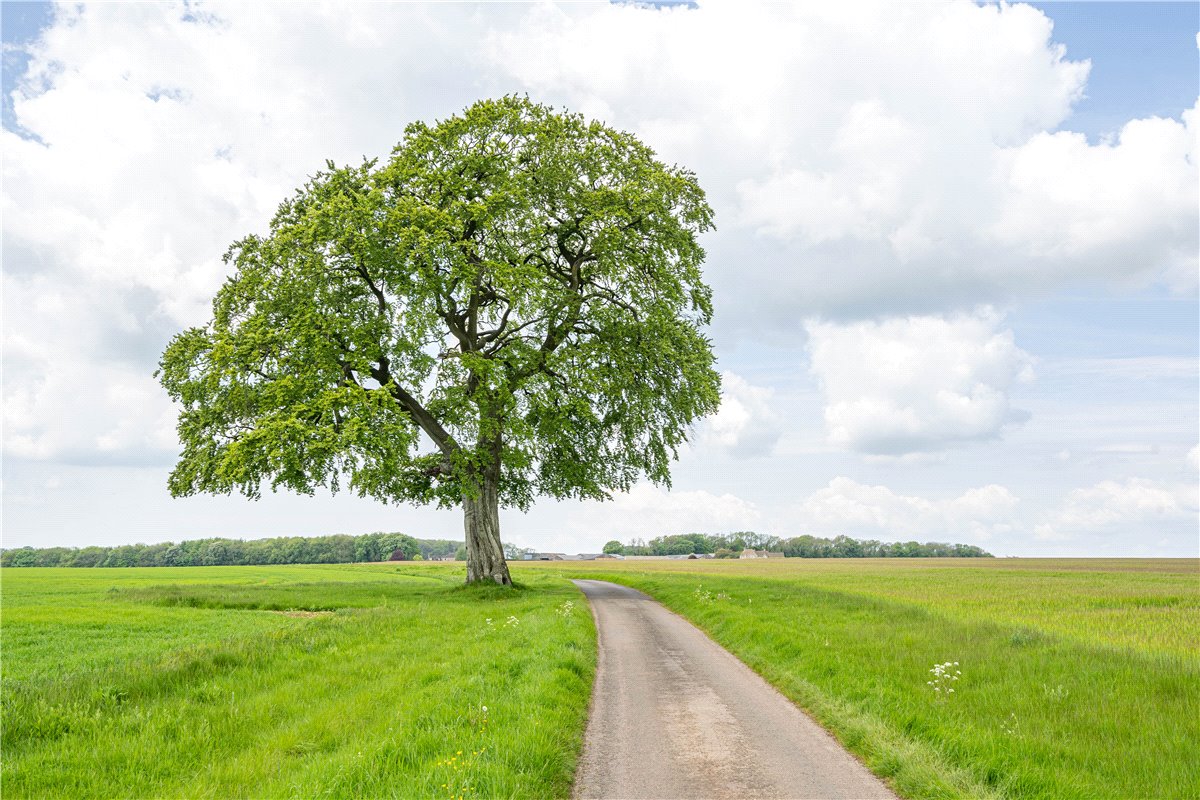 3 bedroom house, Tetbury, Gloucestershire GL8 - Sold STC