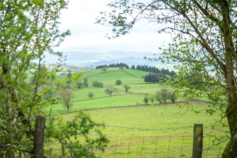 34.3 acres Farm, Pentrefelin, Sennybridge LD3 - Sold