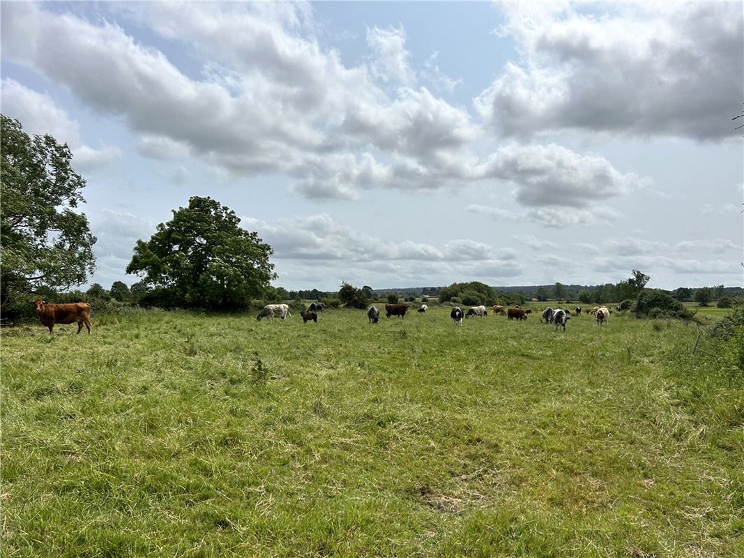 12 acres Land, Street Drove, Street BA16 - Available