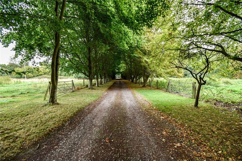 4 bedroom house, Fulbourn Road, Teversham CB1