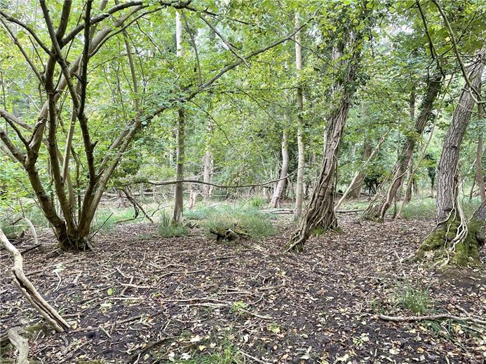 3.8 acres Land, Whittlesford, South Cambridgeshire CB22 - Available