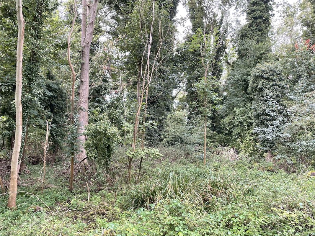 3.8 acres Land, Whittlesford, South Cambridgeshire CB22 - Available