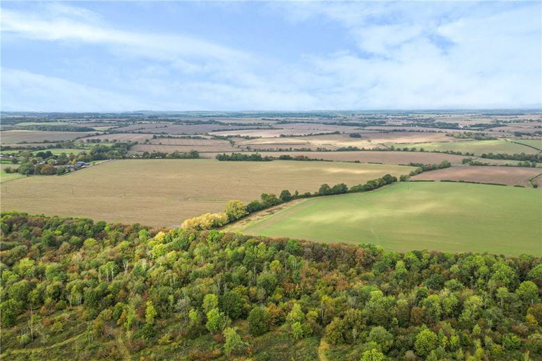 188.8 acres Land, Lot 3 - Ruses Farm & Hempstead Hall Farm, Hempstead CB10 - Available