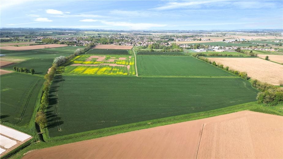 1.3 acres Land, Lot 3 - Hall Marsh Farm, Long Sutton PE12 - Sold
