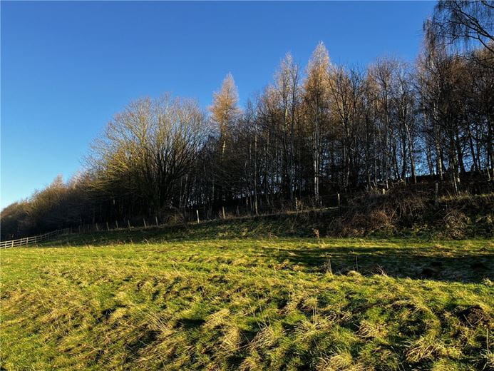  Land, Ripley Estate Woodland, Ripley HG3 - Available