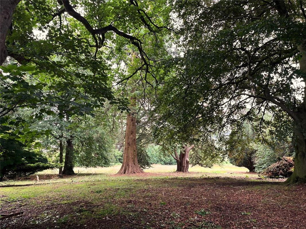 3 bedroom house, Broxholme Park, Ripley HG3 - Available