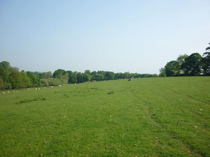 50 acres Land, Brough Park, Richmond DL10 - Sold