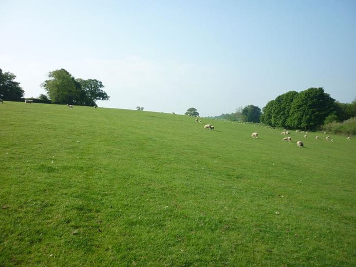 50 acres Land, Brough Park, Richmond DL10 - Sold