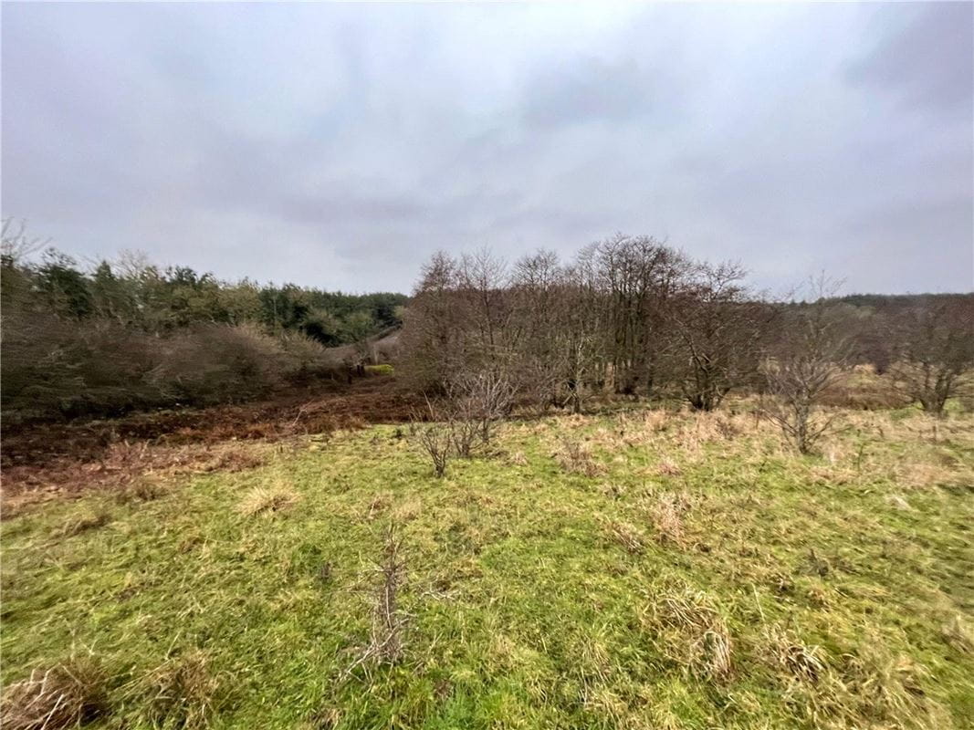  Land, Felton, Morpeth NE65 - Available
