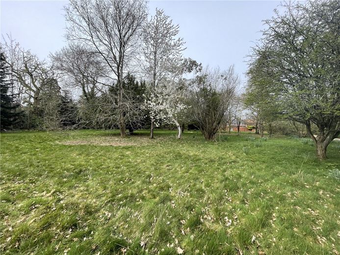  bedroom development plot, Andover Road, Highclere RG20 - Available