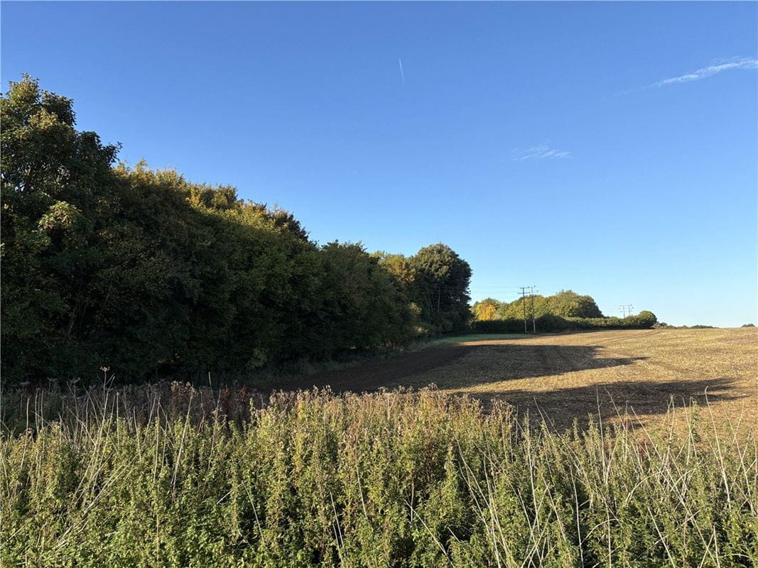 6 bedroom house, Brightwalton, Newbury RG20 - Available