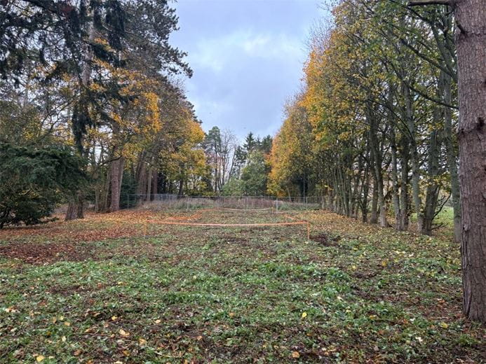  Land, Tudor Avenue, Chieveley RG20 - Available