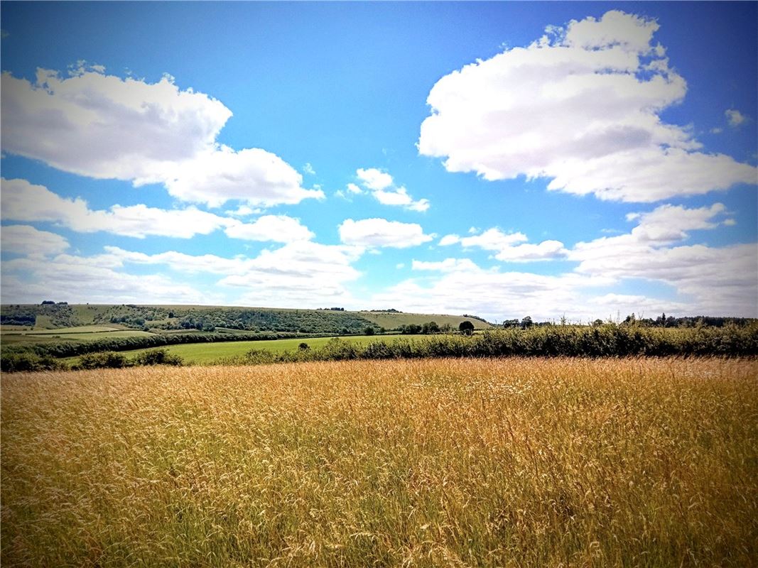  bedroom development plot, Ecchinswell Road, Kingsclere RG20 - Available