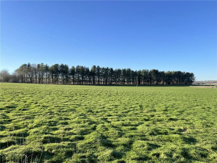 25.1 acres Land, Fognam Farm, Upper Lambourn RG17 - Sold