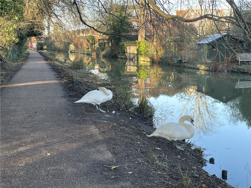 2 bedroom house, Hayfield Road, Oxford OX2 - Sold