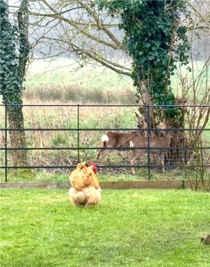 5 bedroom house, Church Lane, Horton-cum-Studley OX33 - Available