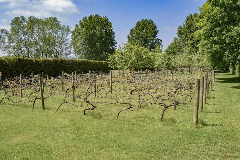 68.5 acres House, Lew, Bampton OX18 - Available