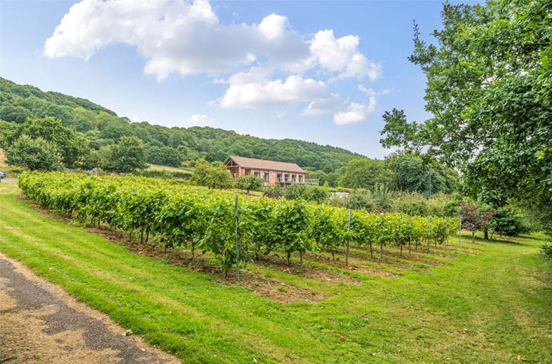 3 acres House, Stourport Road, Great Witley WR6 - Available