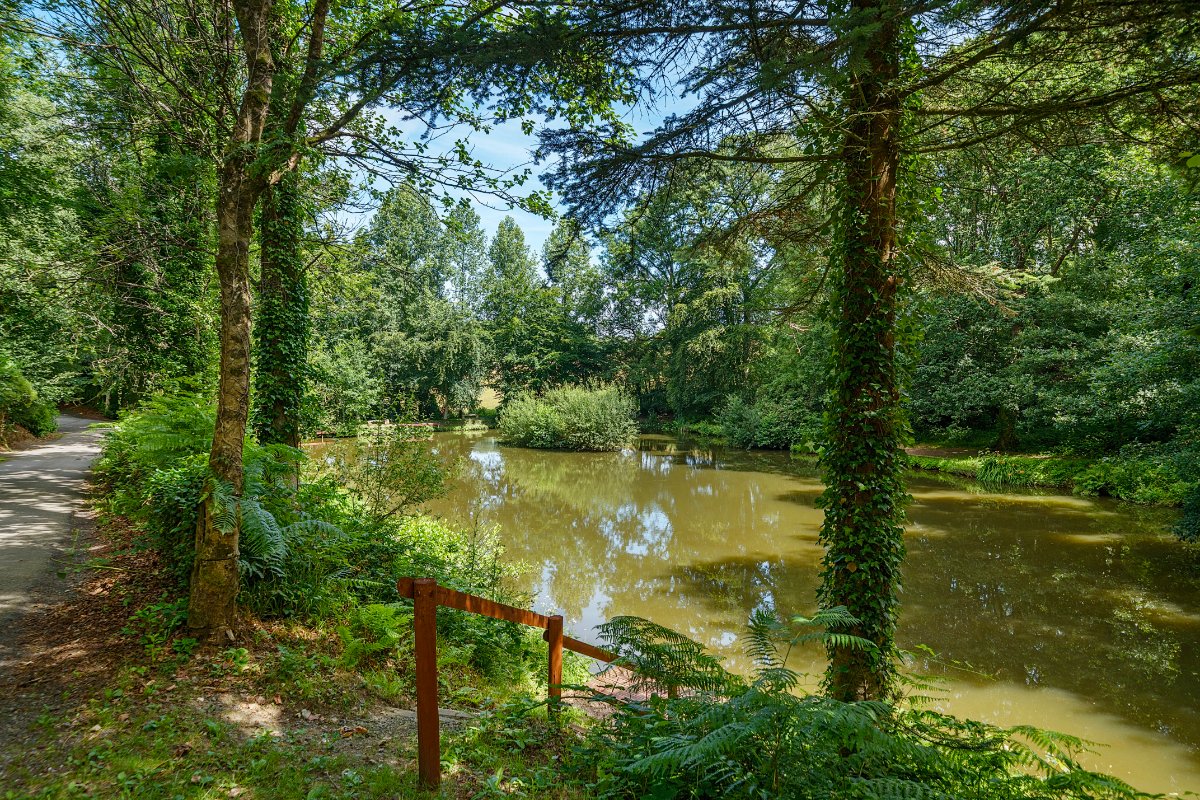 4 bedroom house, Webbery, Bideford EX39 - Available