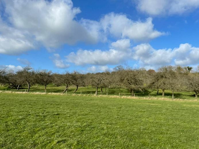 24.5 acres Land, Pilton, Shepton Mallet BA4 - Sold