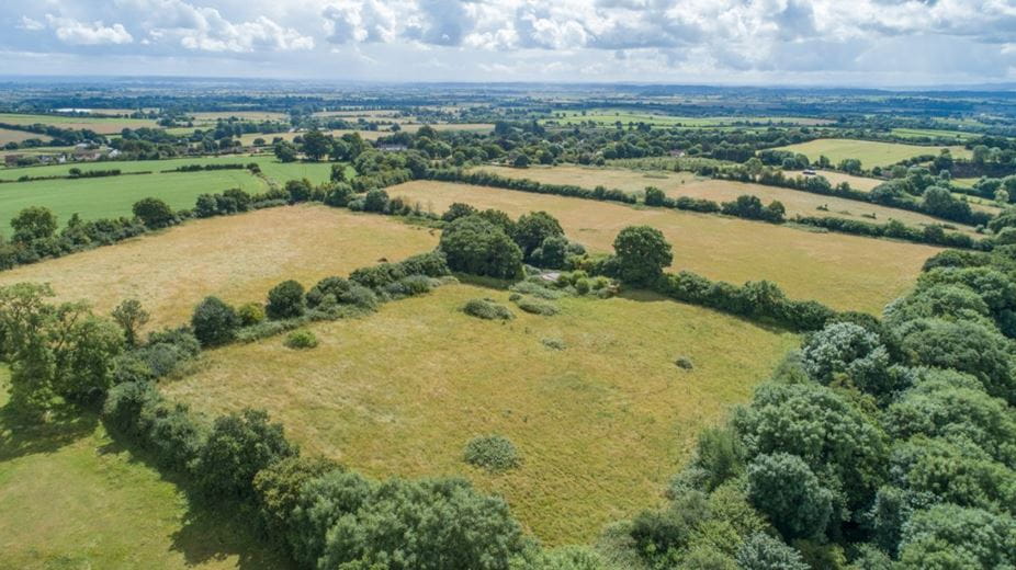 9.8 acres Land, Greenway Farm, Thurloxton TA2 - Available