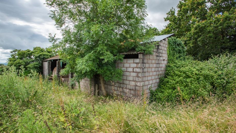 9.8 acres Land, Greenway Farm, Thurloxton TA2 - Available