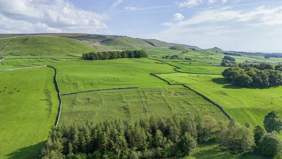 18.6 acres Land, Linton, Skipton BD23 - Available