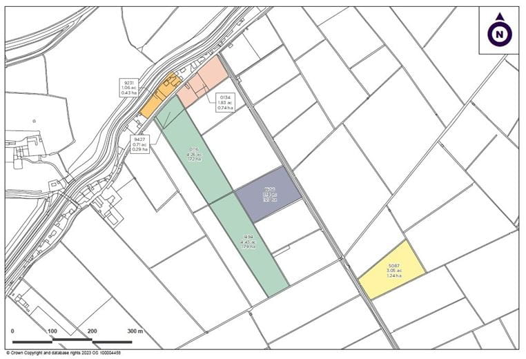 3.1 acres Land, Lot 5: Land At Stanmoor Road, Burrowbridge TA7 - Sold