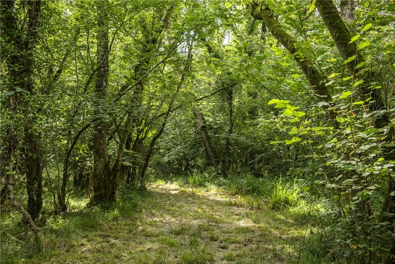 227 acres House, Buckland St. Mary, Chard TA20 - Available