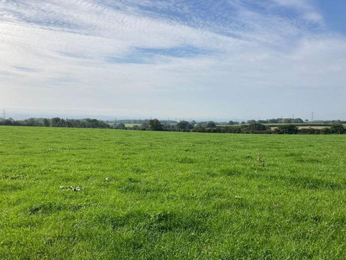 12 acres Land, Land At Hill Farm, West Monkton TA2 - Sold