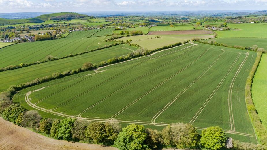 289.5 acres House, Cann, Shaftesbury SP7 - Sold
