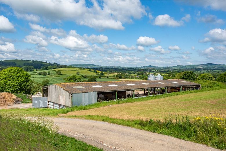 518 acres Farm, Dottery, Bridport DT6 - Sold STC
