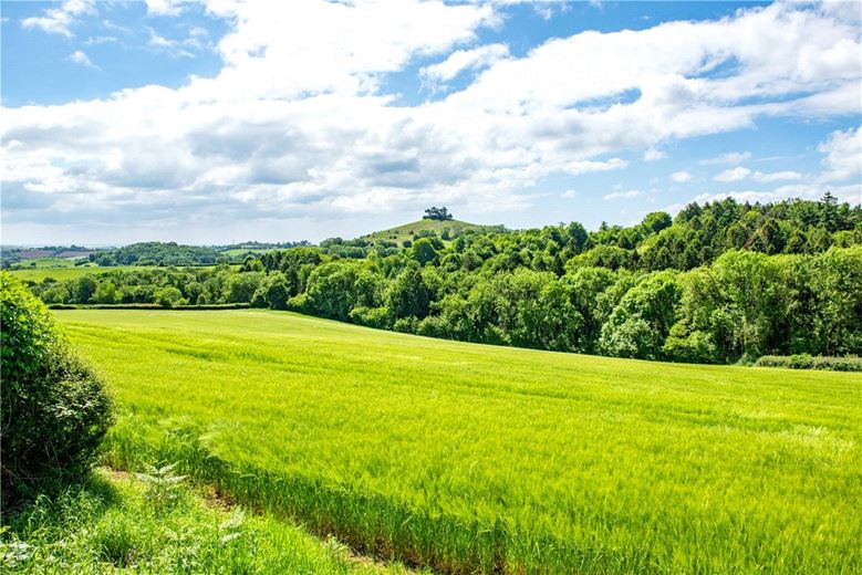 225.9 acres House, Dottery, Bridport DT6 - Sold STC