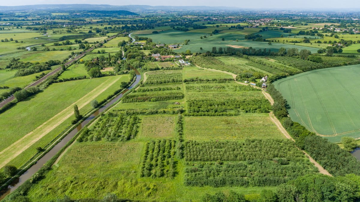 4 bedroom house, Charlton Road, Creech St. Michael TA3 - Sold