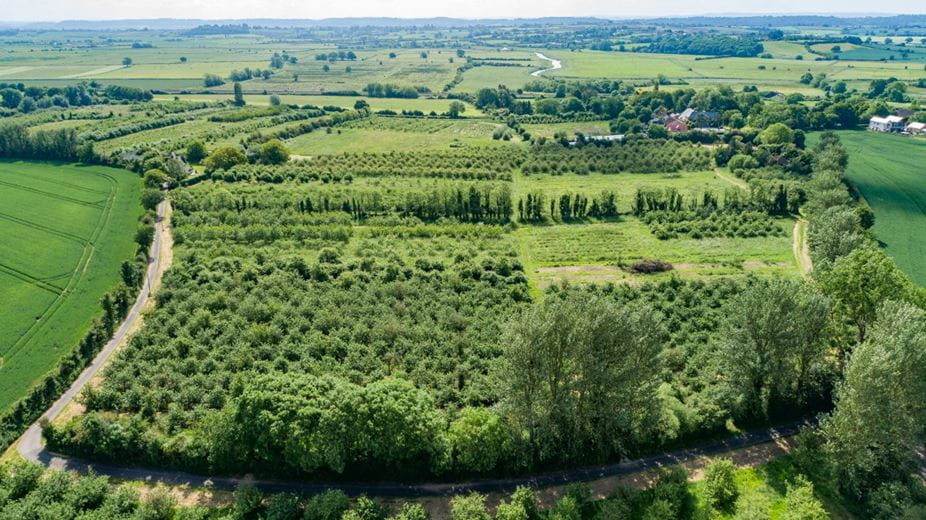 4 bedroom house, Charlton Road, Creech St. Michael TA3 - Sold