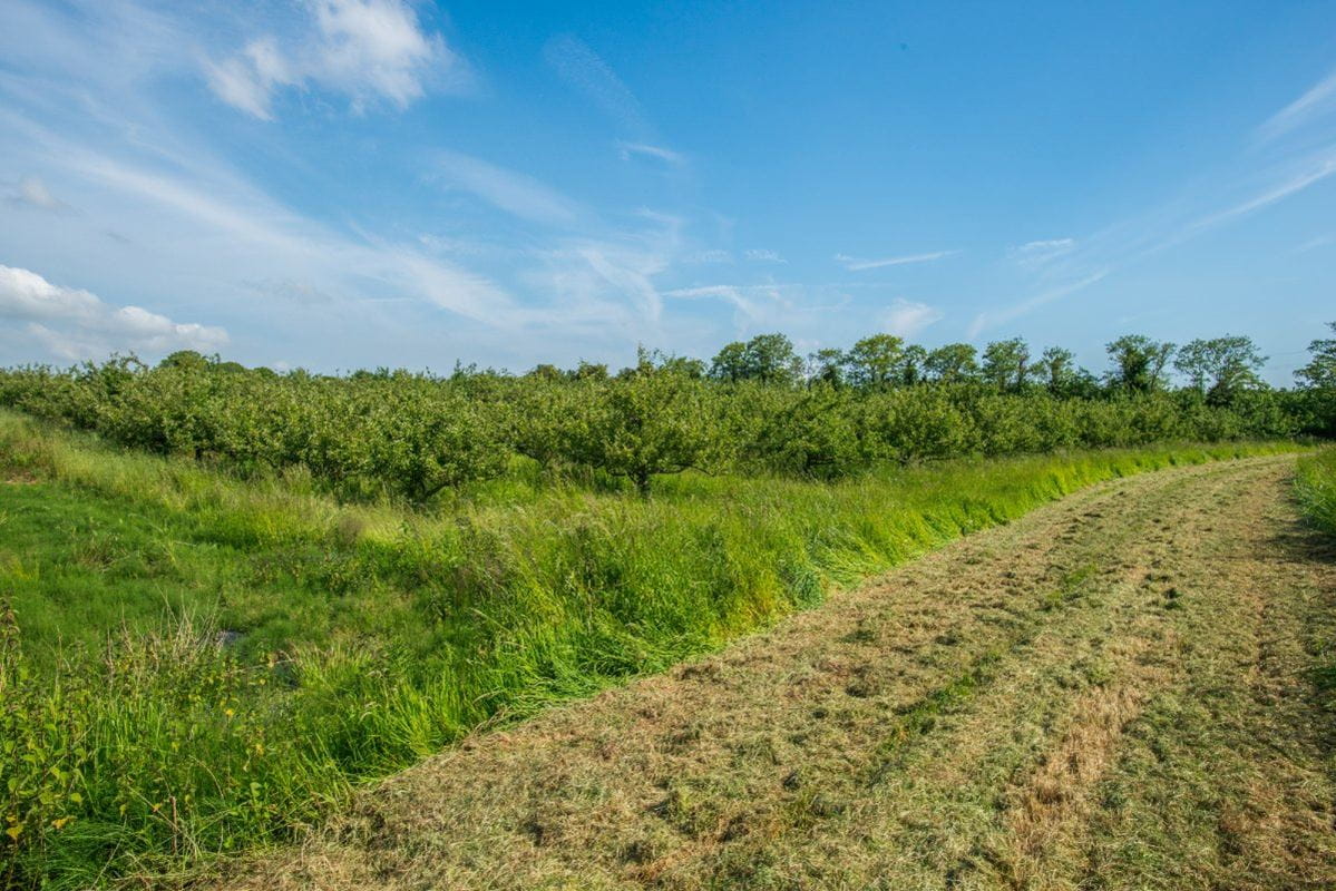 4 bedroom house, Charlton Road, Creech St. Michael TA3 - Sold